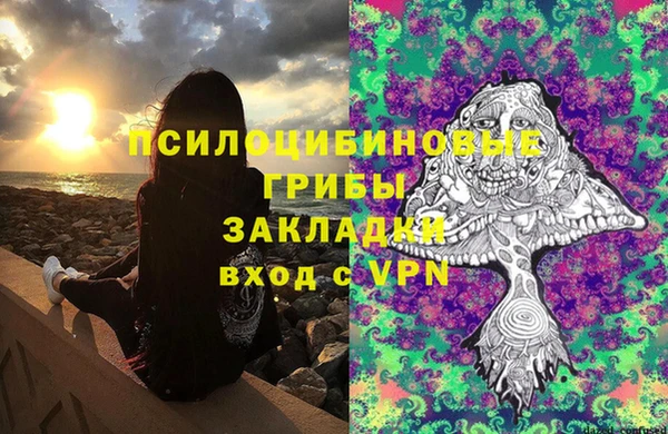 молекула духа Волоколамск
