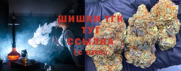 молекула духа Волоколамск