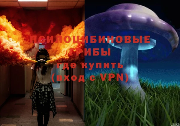 молекула духа Волоколамск