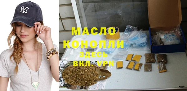 молекула духа Волоколамск